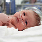 A newborn baby with breathing tubes in her incubator in NICU.