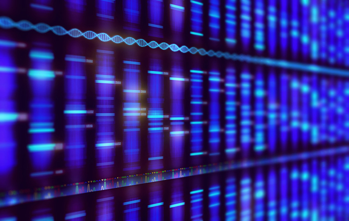 A genome map depicting DNA as a multicolored series of bars.