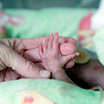 Tiny preterm infant hand touching an adult’s finger.
