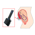 The oxygen sensor next to a diagram of a fetus and placenta in the uterus.