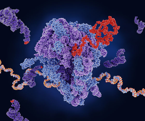 The 3D rendering appears against a black background.