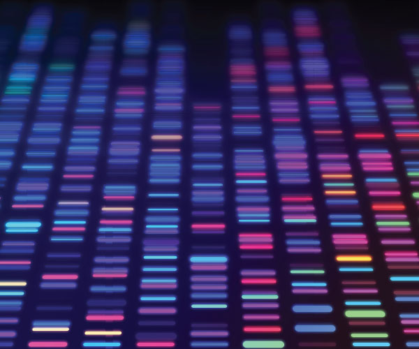 DNA sequencing gel.