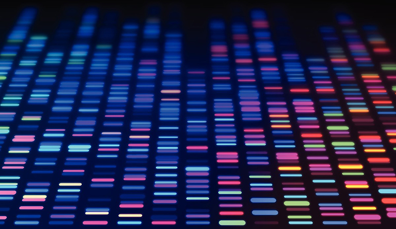 Gene scan printout.