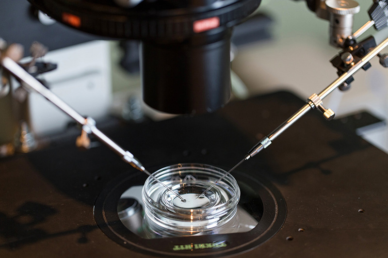 Instruments over a glass dish for in vitro fertilization procedure.