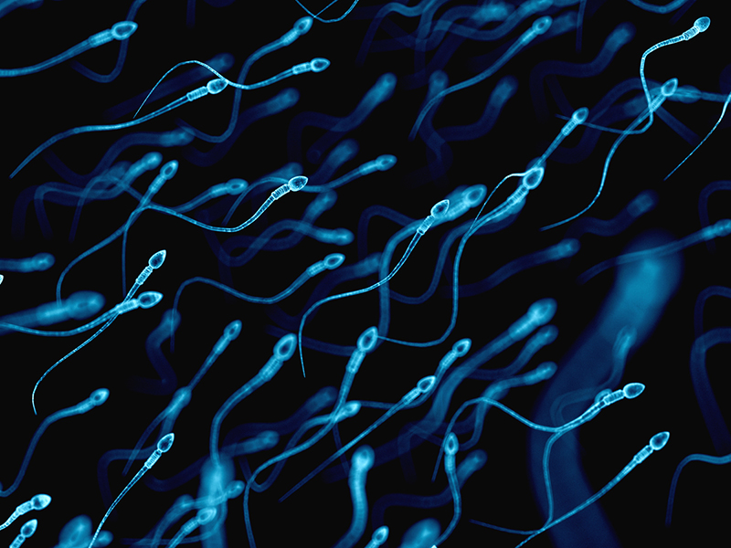 Graphic of sperm cells.