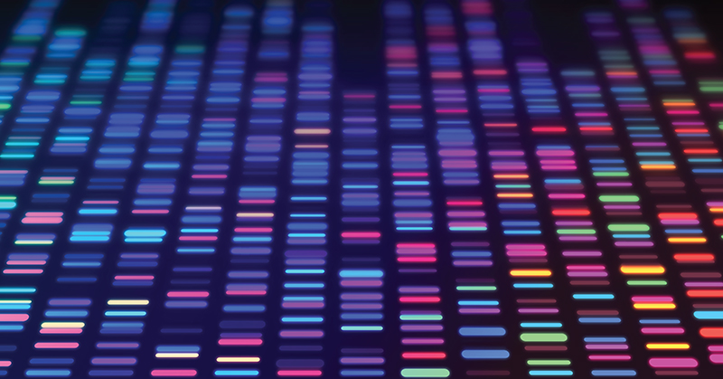 Multi color blocks signifying various DNA segments.