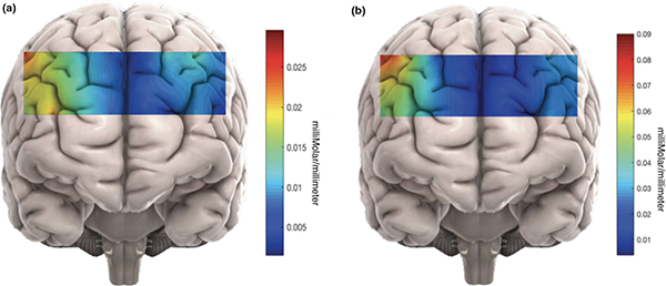 3D graphics of 2 brains are shown. In both panels, a rectangular region of the brain is colored based on millimolar/milliliter concentrations of oxyhemoglobin, which range from 0.09 (red) to 0.01 (blue).