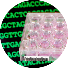 test tubes and text of amino acid chains.