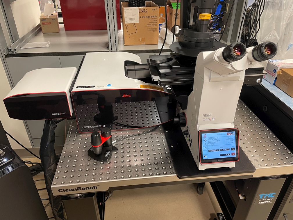 Leica Stellaris STD / FLIM microscope.