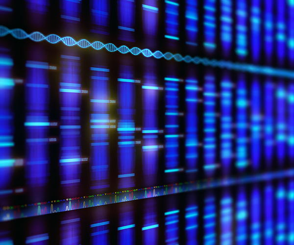 A genome map depicting DNA as a multicolored series of bars.