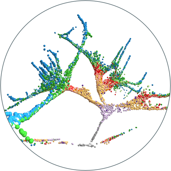 Specification tree of early zebrafish embryogenesis reconstructed with URD.