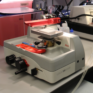 Leica Sliding Microtome in the MIC sample preparation lab.