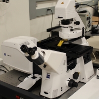 Zeiss LSM 800 microscope.