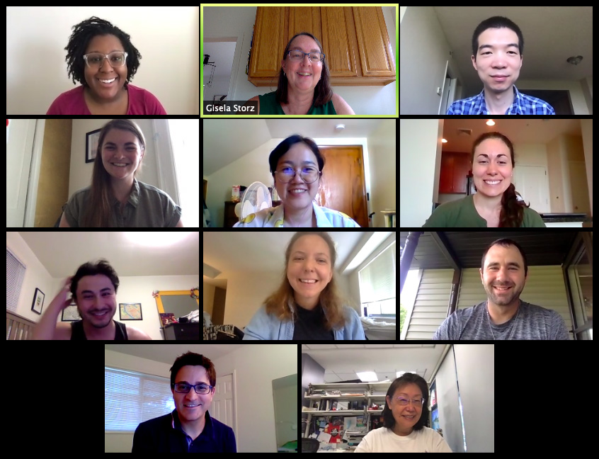 Group photo of Storz lab during Zoom meeting.