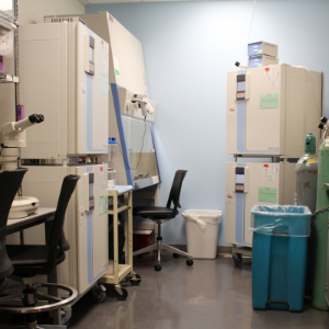 Tissue Culture Facilities in the MIC sample preparation lab.