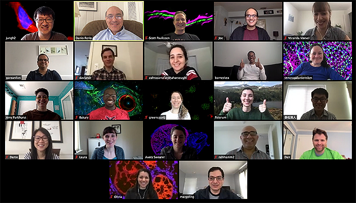 Weinstein Lab group photo - virtual meeting, March 27, 2020