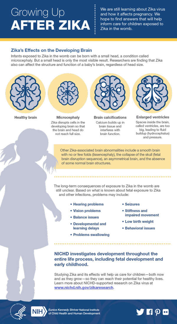 Growing up after zika infographic